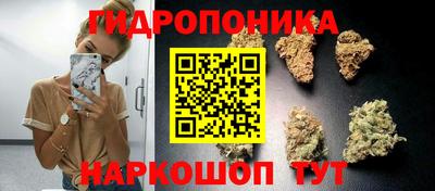 PSILOCYBIN Лесосибирск