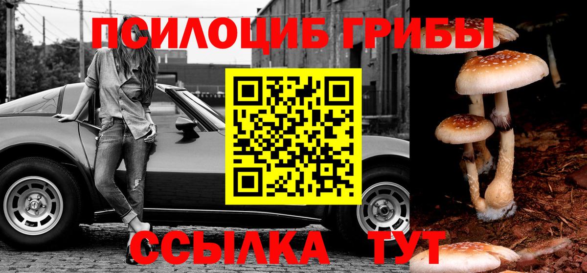 Великий Новгород  Псилоцибиновые грибы Magic Shrooms  Вход с VPN 