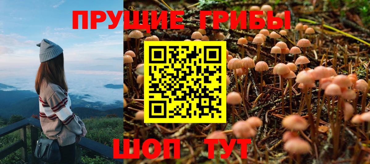 Галлюциногенные грибы GOLDEN TEACHER Великий Новгород