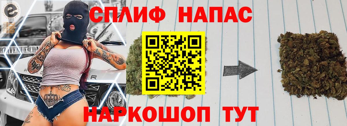Конопля OG Kush Великий Новгород